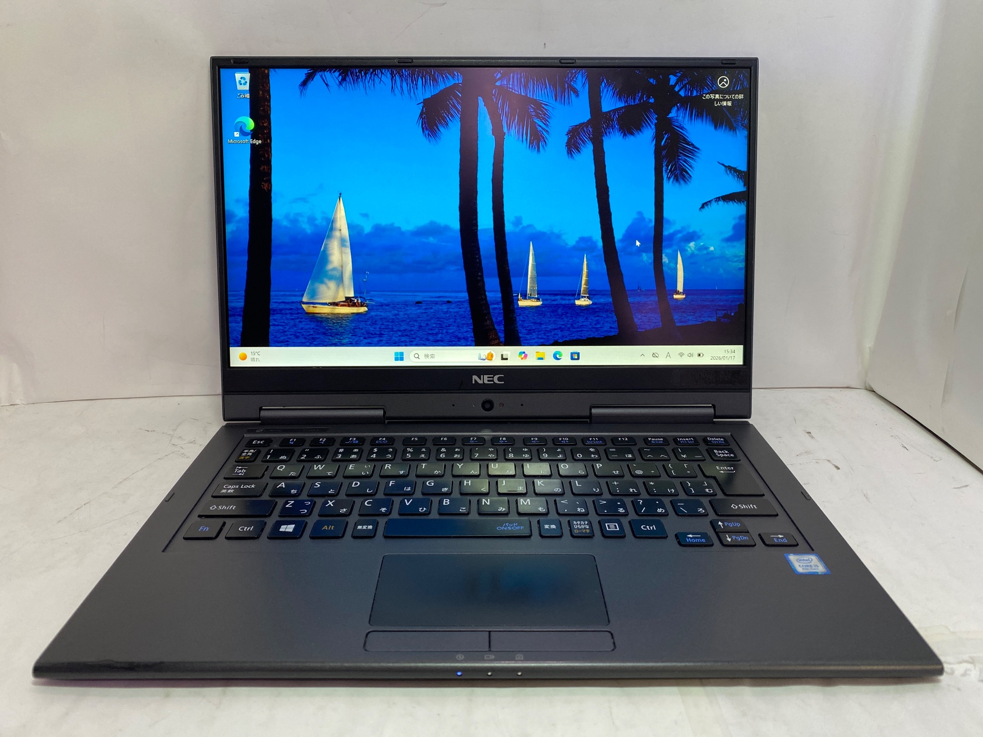 NEC(日本電気) PC-GN16434GE