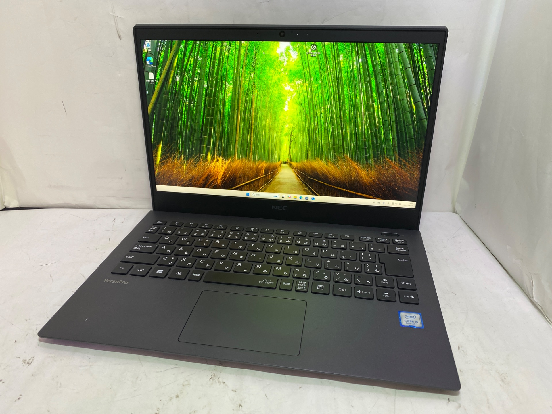 NEC(日本電気) PC-VJT16GZG5