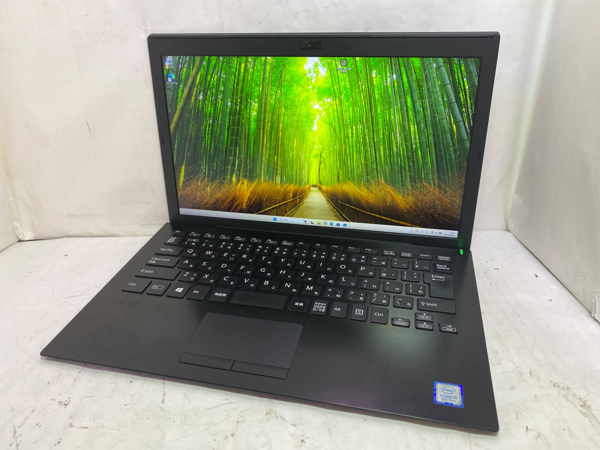 VAIO Vaio Pro PG VJPG11C11N